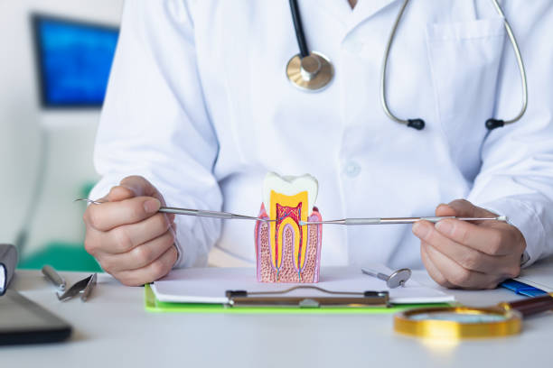 Best Emergency Denture Repair in Black Jack, MO